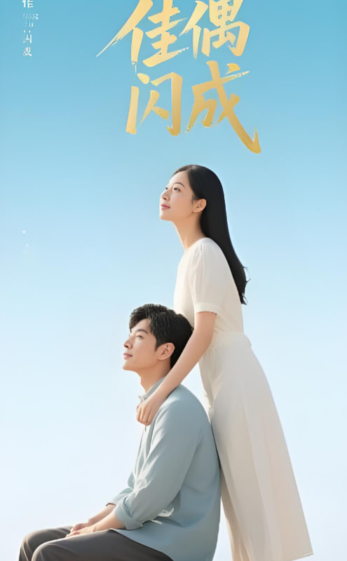 佳偶閃成（假婚真愛(ài)）(全集)
