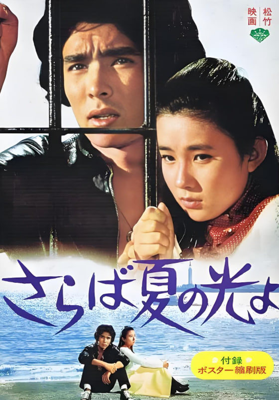 再見，夏日之光
