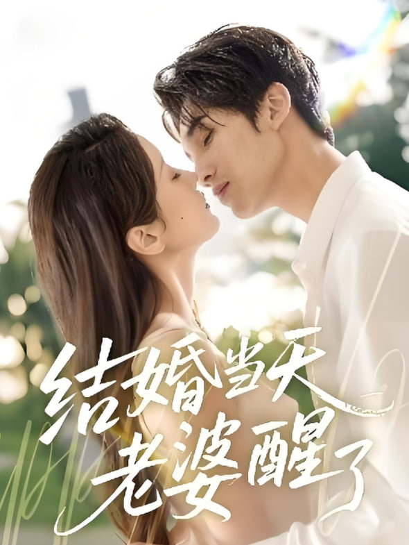 結(jié)婚當(dāng)天老婆醒了(全集)