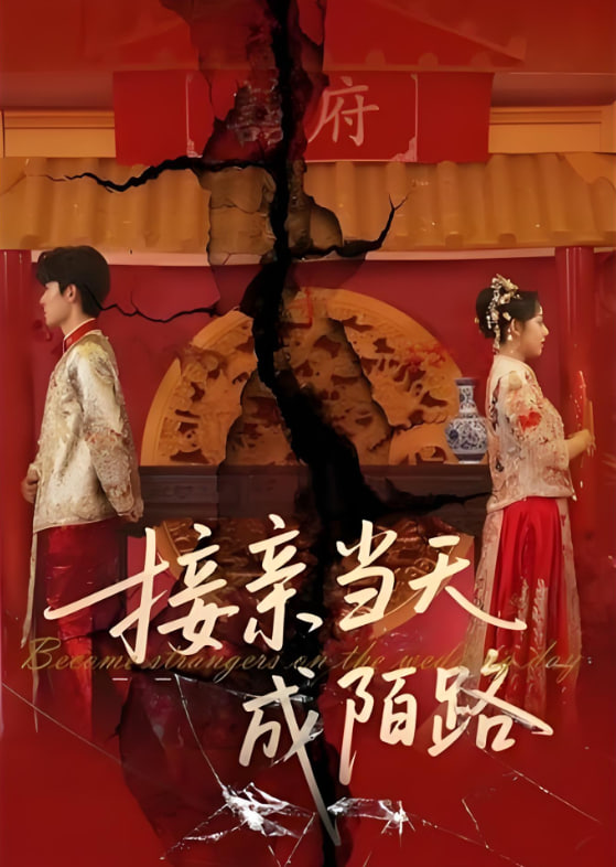 接親當(dāng)天成陌路(全集)