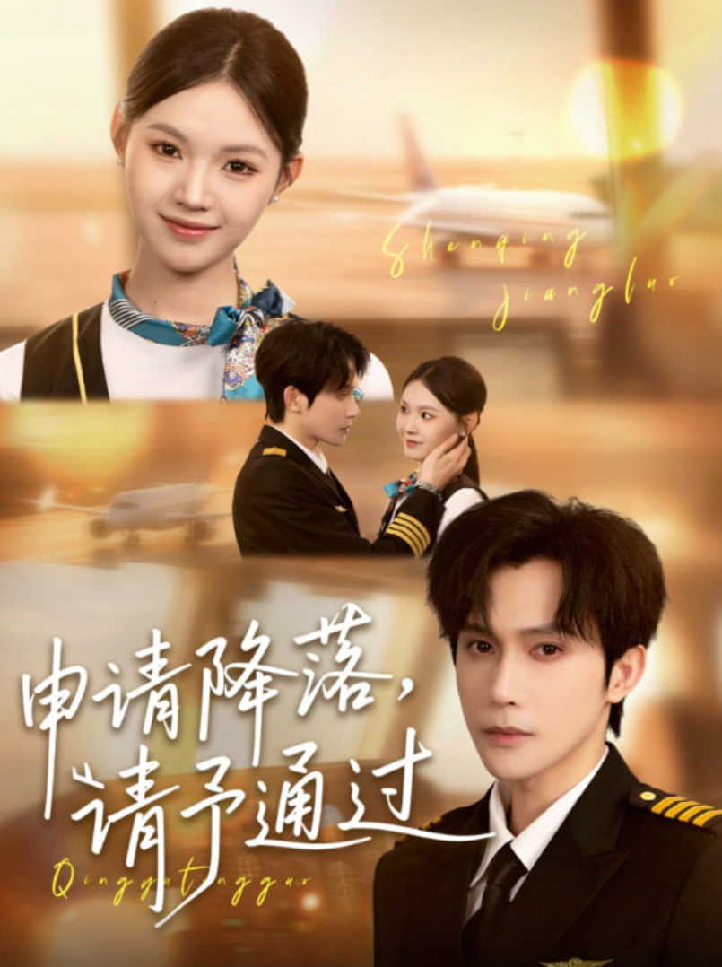 申請(qǐng)降落請(qǐng)予通過(guò)(全集)