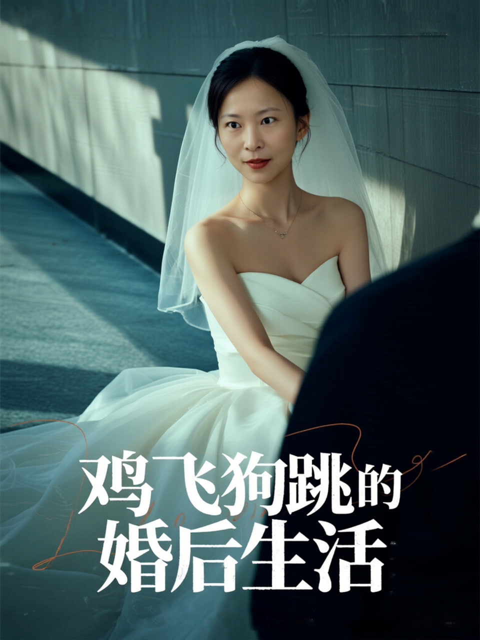 雞飛狗跳的婚后生活(全集)