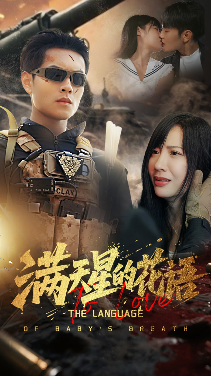 滿天星的花語(全集)