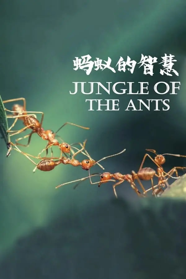 螞蟻的智慧(全集)