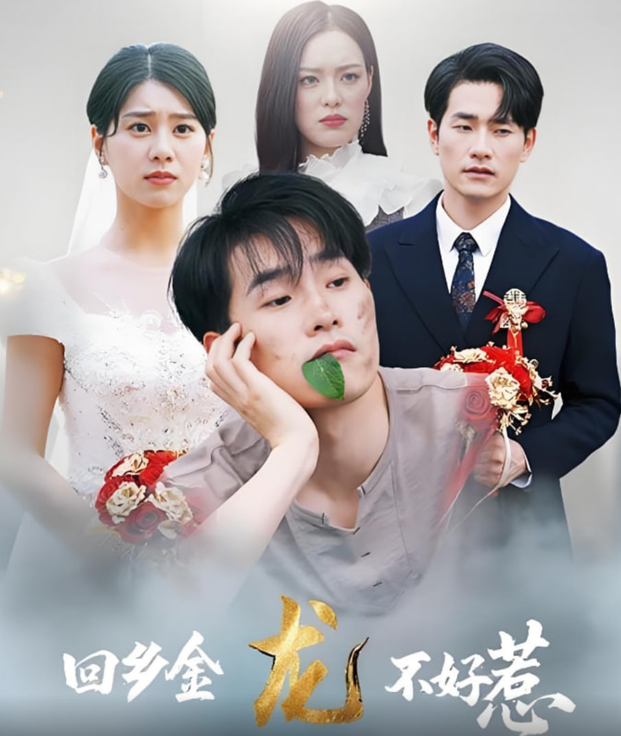回鄉(xiāng)金龍不好惹(全集)