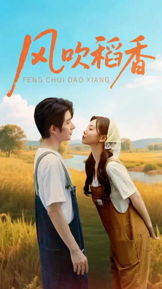 風(fēng)吹稻香(全集)