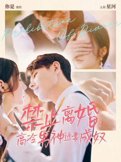 禁止離婚，高冷男神追妻成奴(全集)