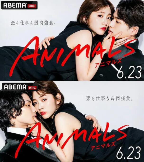 動物 ANIMALS(全集)