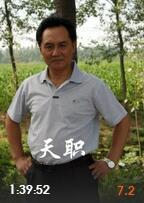 天職