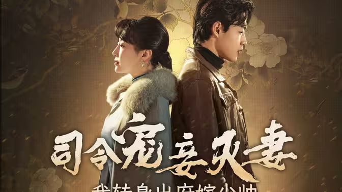 司令寵妾滅妻，我轉(zhuǎn)身出府嫁少帥(全集)