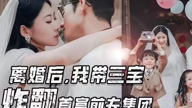 離婚后我?guī)龑氄ǚ赘磺胺蚣瘓F(全集)