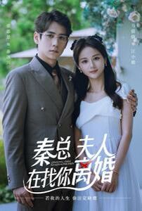 秦總，夫人在找你離婚(全集)