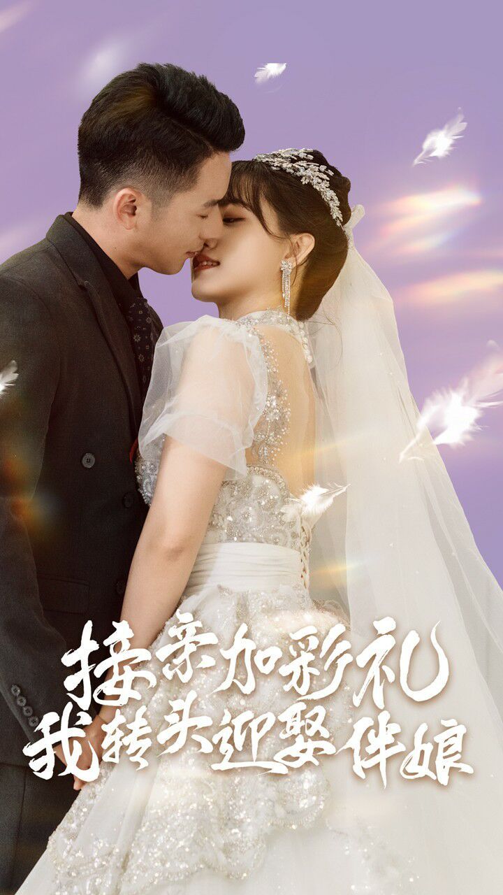 接親加彩禮，我轉(zhuǎn)頭迎娶伴娘(全集)