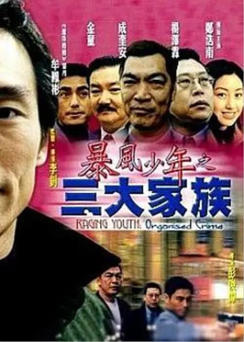 暴風(fēng)少年之三大家族 2001
