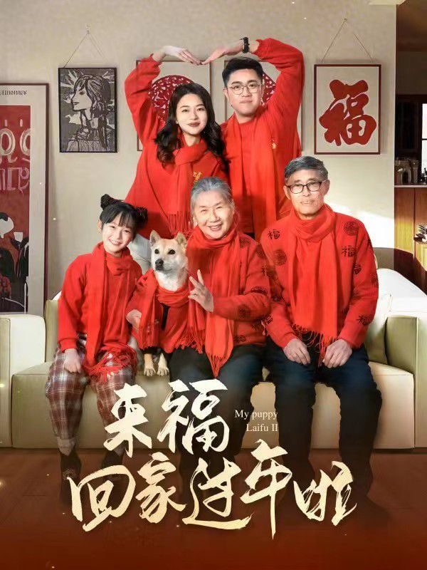 來?；丶疫^年啦(全集)