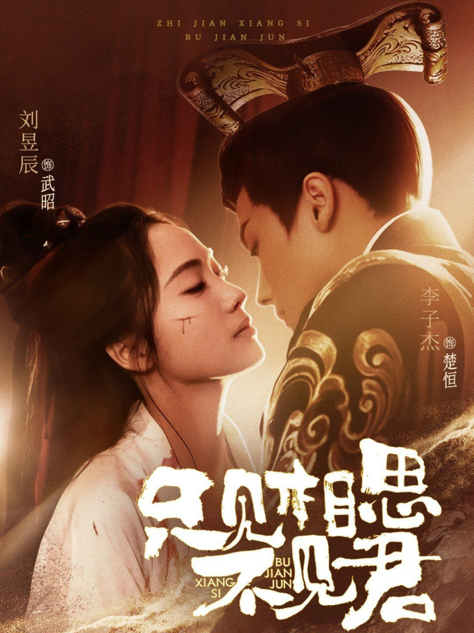 只見(jiàn)相思不見(jiàn)君(全集)