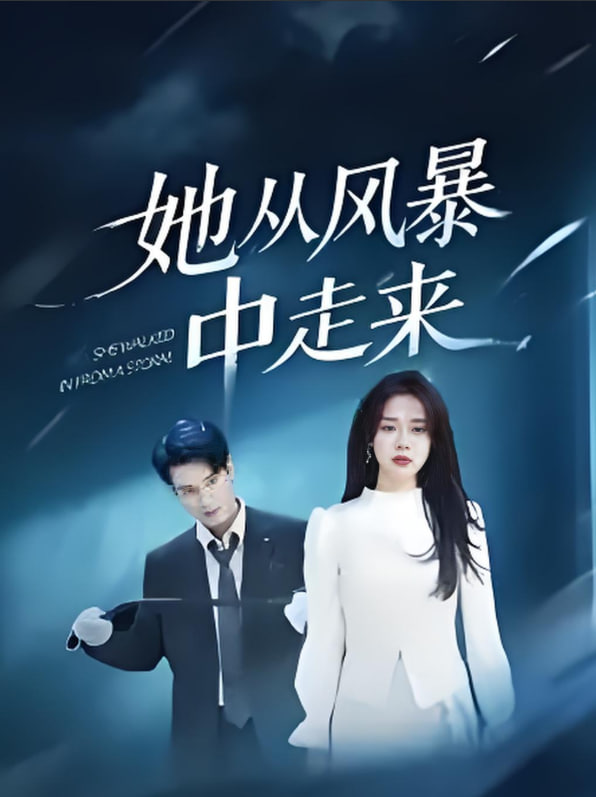 她從風(fēng)暴中走來(全集)