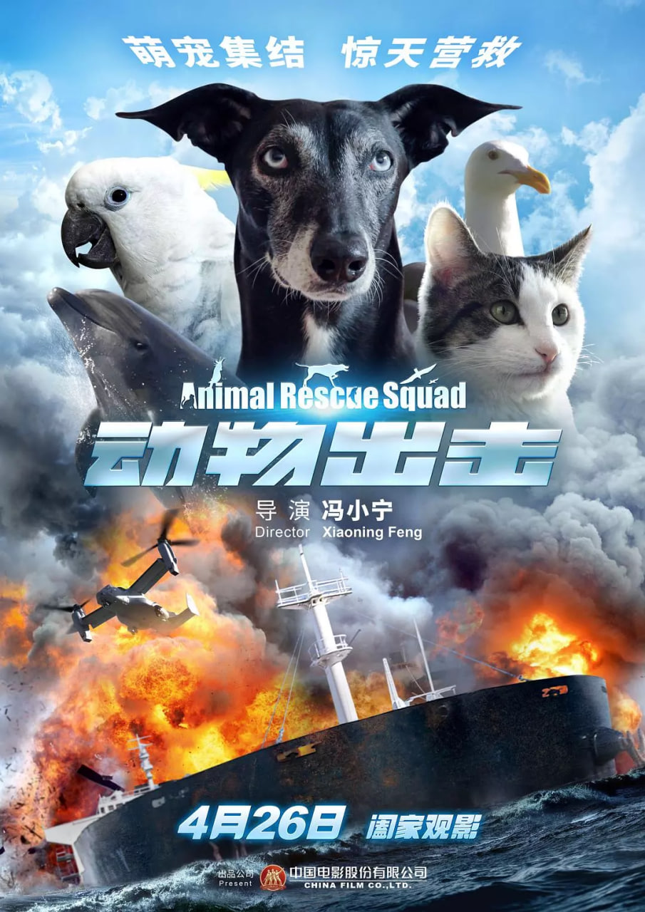 動物出擊