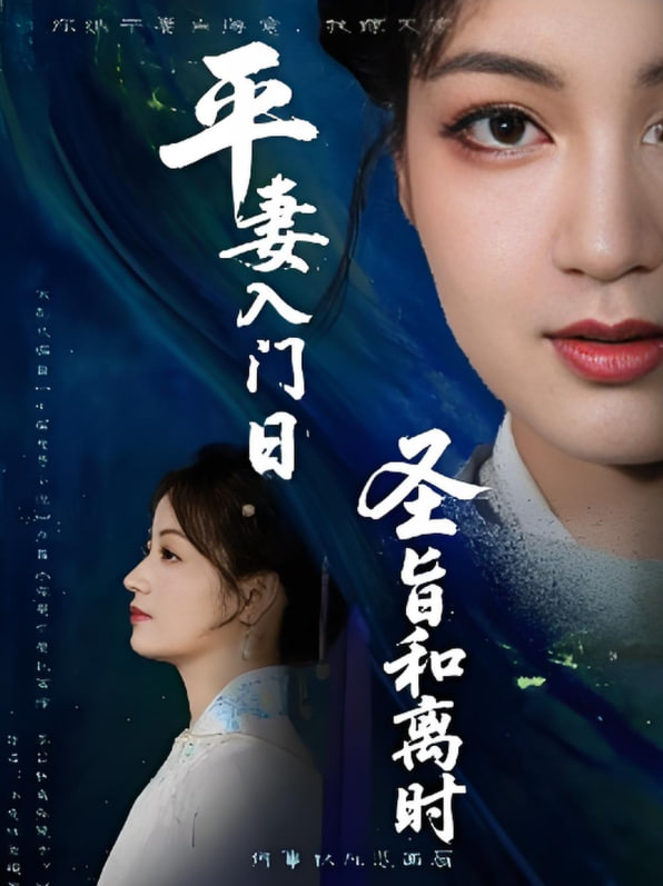 平妻入門(mén)日圣旨和離時(shí)(全集)