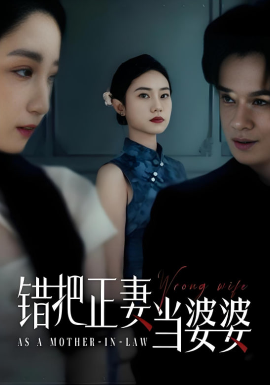 錯把正妻當(dāng)婆婆(全集)