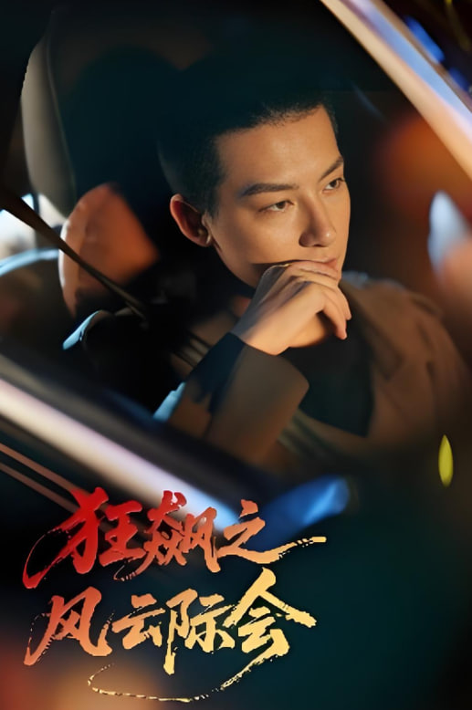 狂飆之風(fēng)云際會(huì)(全集)