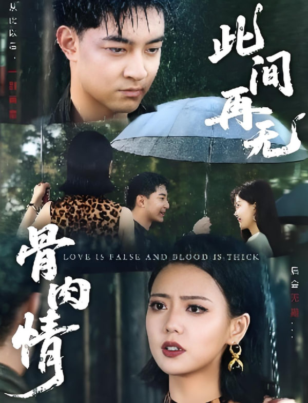 此間再無(wú)骨肉情(全集)